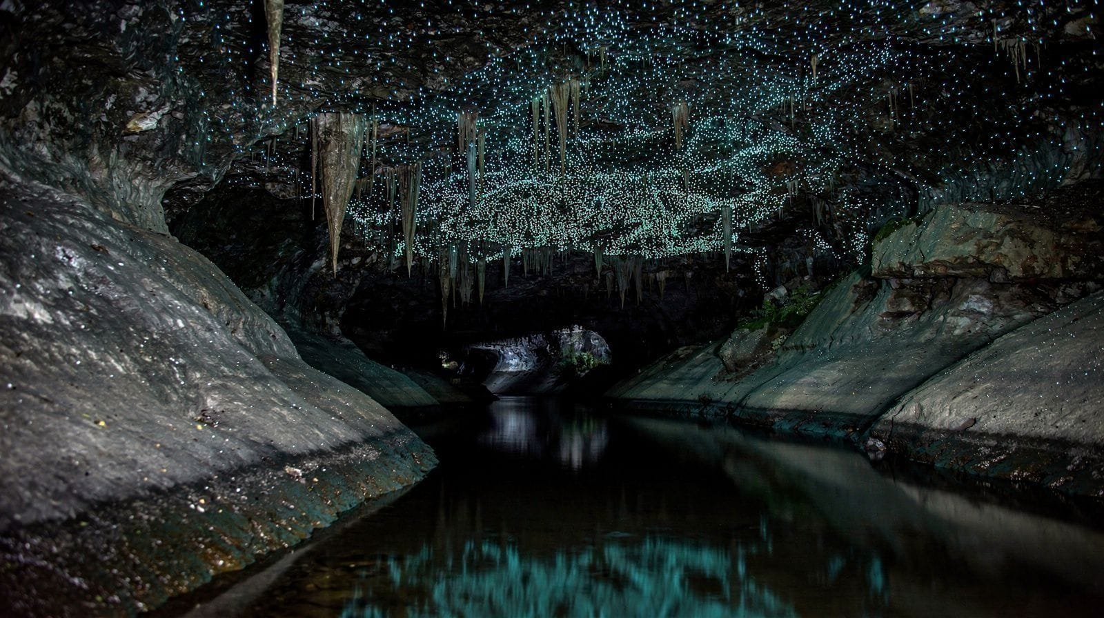 Grutas e pirilampos