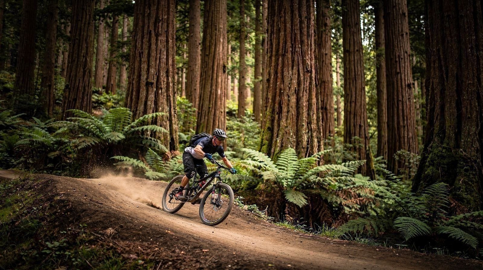 BTT