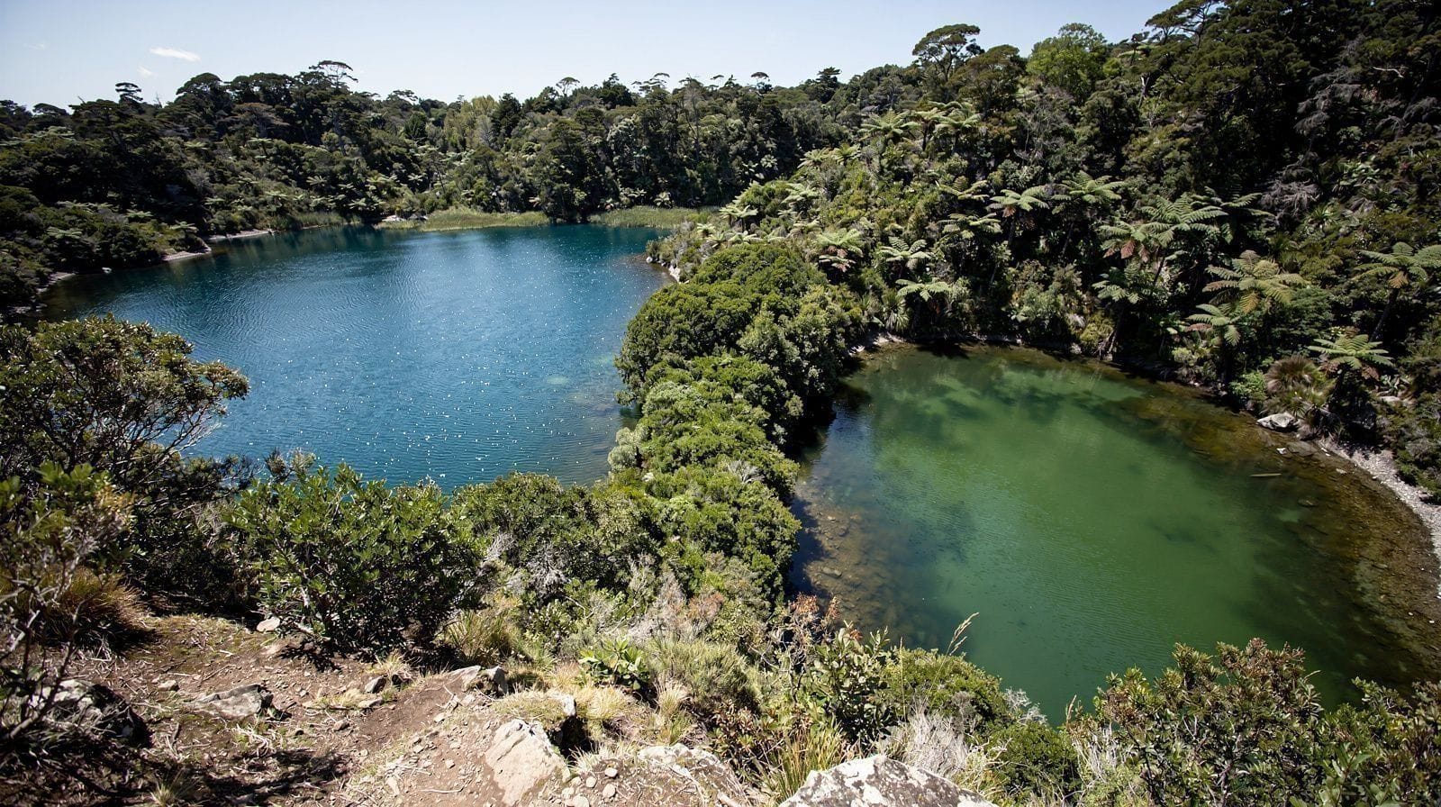 Blue Lake e Green Lake (Tikitapu e Rotokākahi)