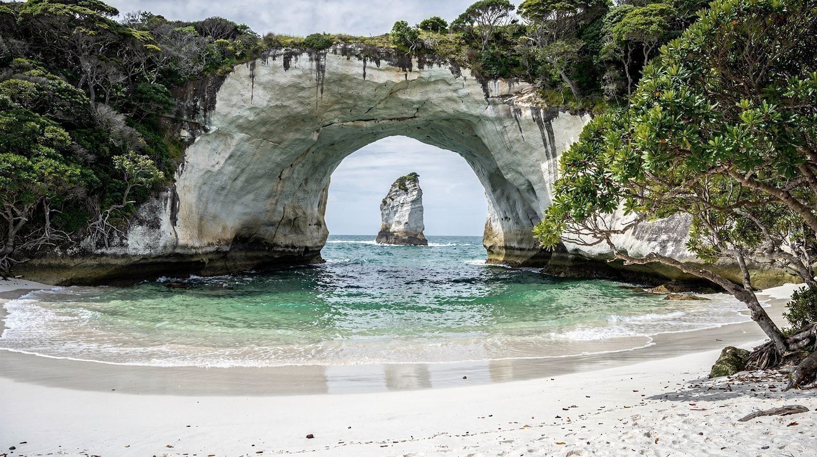 Cathedral Cove