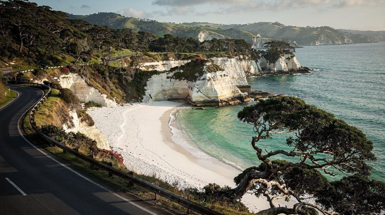 Coromandel Peninsula