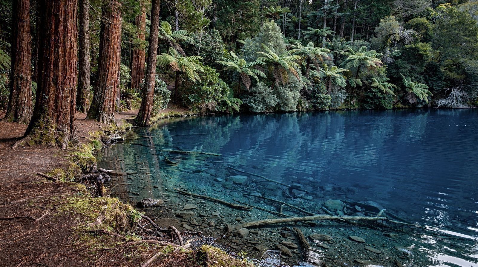 Hamurana Springs