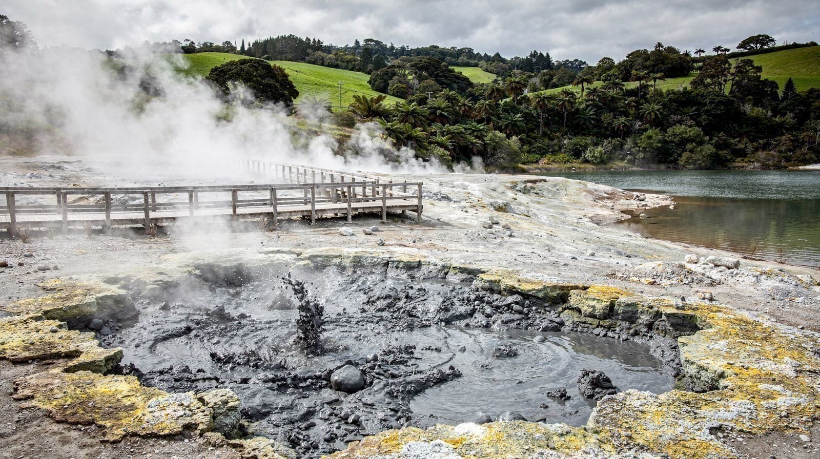 Hell's Gate (Tikitere): o Parque Geotérmico Mais Ativo de Rotorua