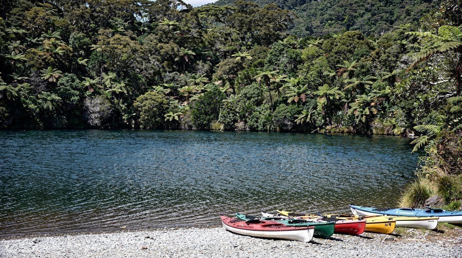 Lake Rotoiti: Águas Termais Acessíveis Apenas por Água