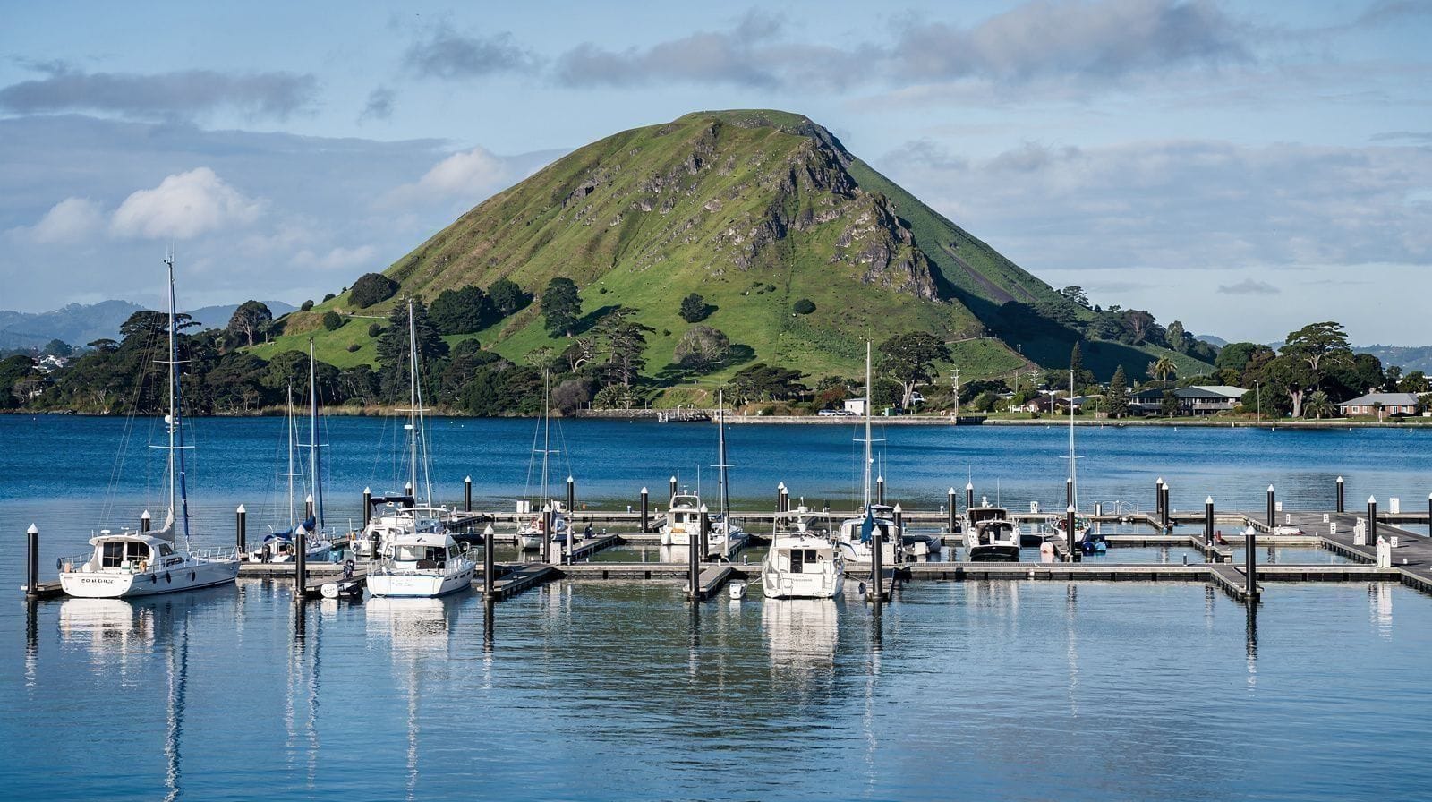 Tauranga