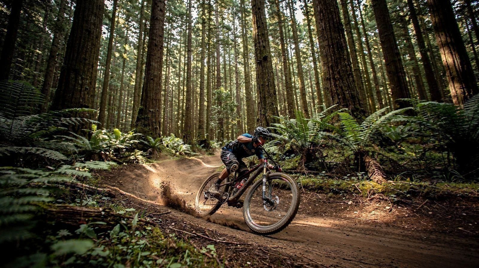 Mountain Biking Rotorua: The Redwoods Trail Network Explained