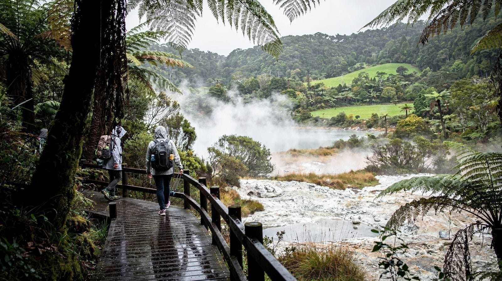 Darmowe szlaki piesze wokół Rotorua