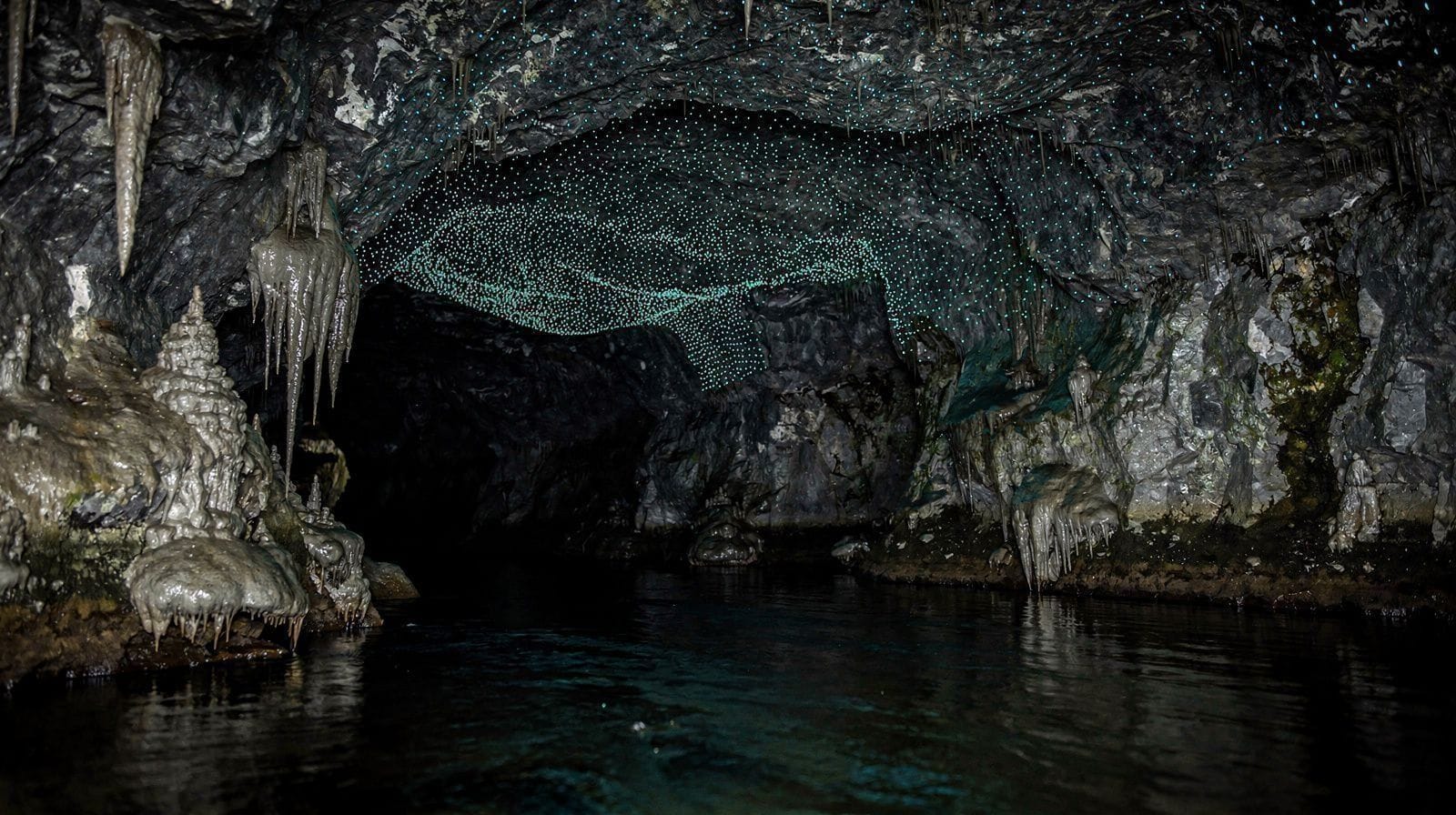 Czym naprawdę są glowworms?